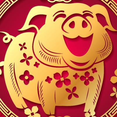 2022, Anul Tigrului de Apa: Horoscop chinezesc pentru zodia Porc