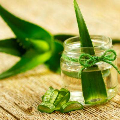 Planta miraculoasa care vindeca peste 100 de boli