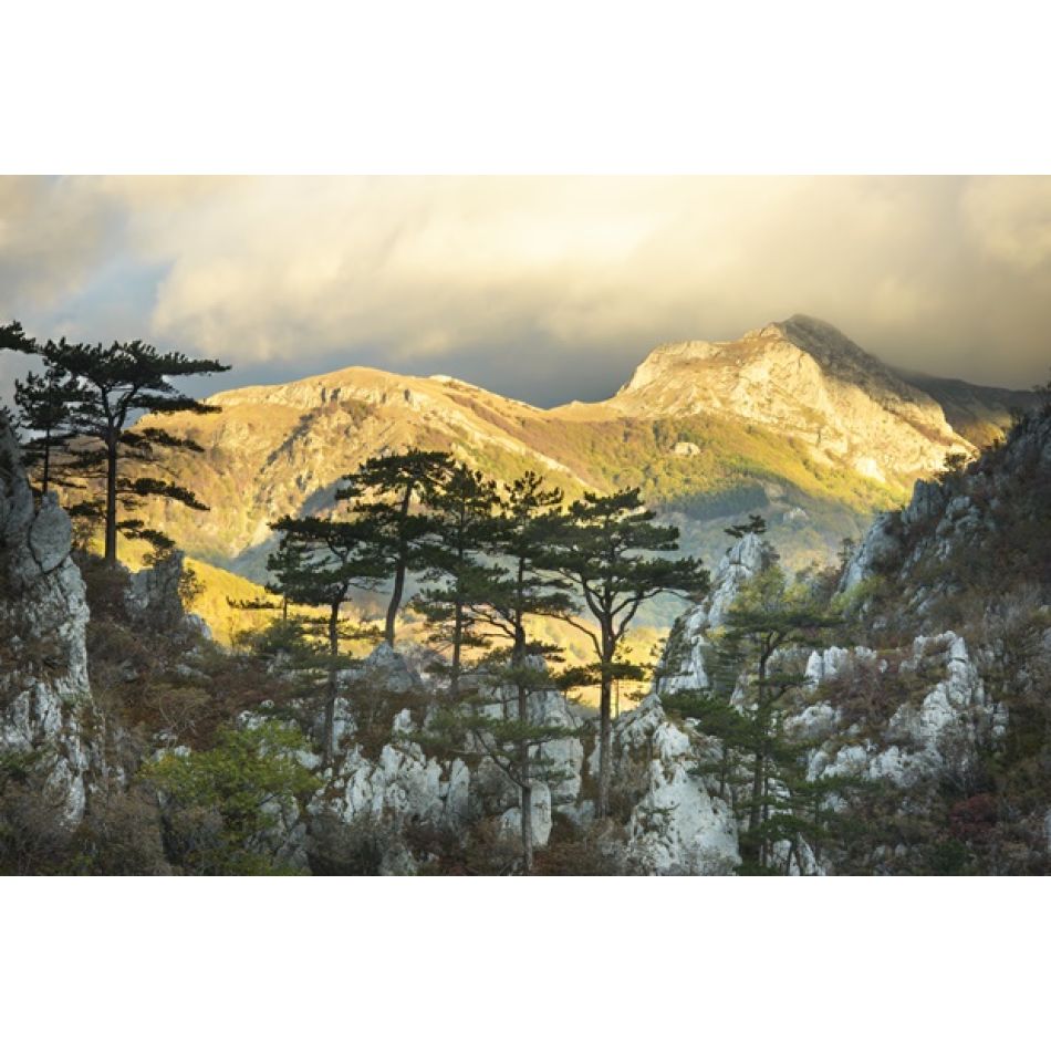 Miniseria „România sălbatică”, din 12 mai pe HBO Max