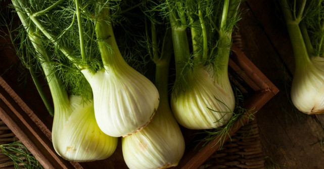 Sigur ai auzit de fenicul. Iata ce beneficii minunate are