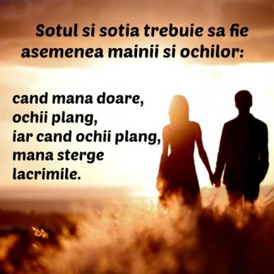 30 de proverbe japoneze pentru momentele in care simti ca nu mai poti