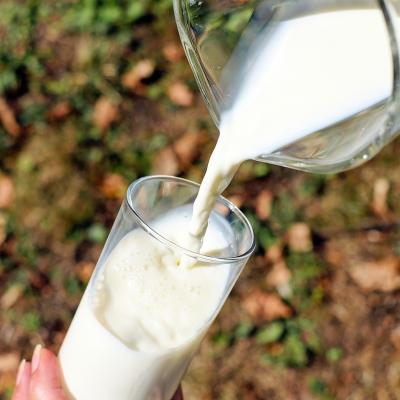 Cum sa-ti prepari singura lapte vegetal cu ciocolata: Fara zahar, gata in 10 minute