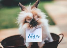 Nu stiti ce sa faceti de Paste 2022? Iata doza de inspiratie: activitati relaxante, ce te vor face sa te simti in vacanta