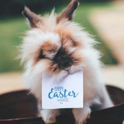 Nu stiti ce sa faceti de Paste 2022? Iata doza de inspiratie: activitati relaxante, ce te vor face sa te simti in vacanta