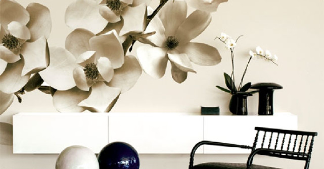 20 de modele de tapet si stickere decorative