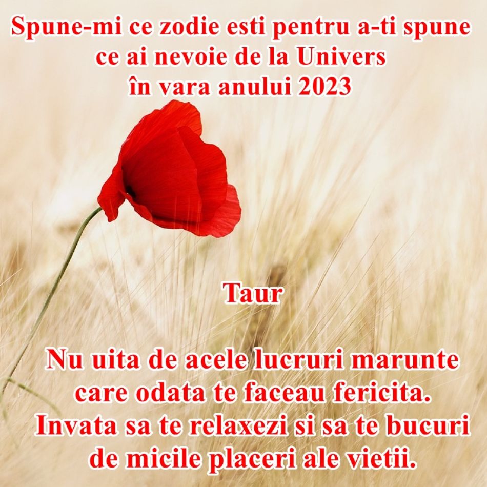 Spune-mi ce zodie ești pentru a îți spune de ce ai nevoie de la Univers în vara anului 2023