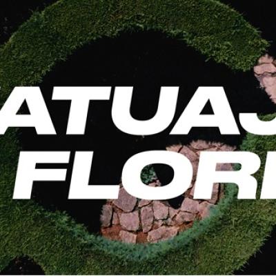 Tosh și The Motáns se transformă în Tatuaje, Flori