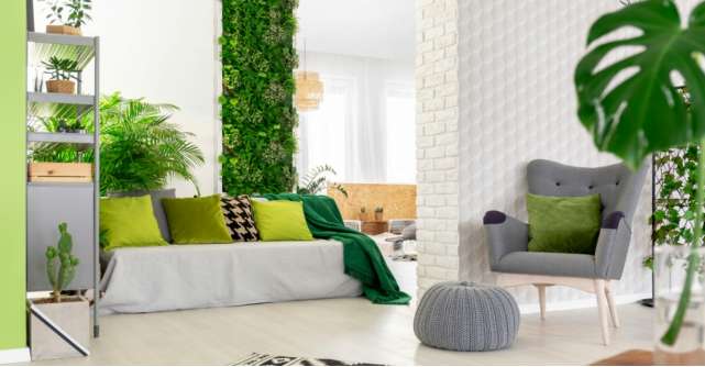 Ce sunt pereții verzi și ce avantaje au pentru locuință