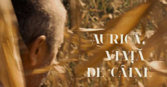 Aurica, viata de caine - cum a ajuns un fost detinut personaj principal intr-un film despre iubirea fata de animalele abandonate