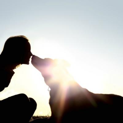 Cele 6 ingrediente ale fericirii adevarate