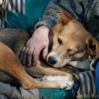  Zambeste azi si plangi maine. Citeste asta in fiecare zi