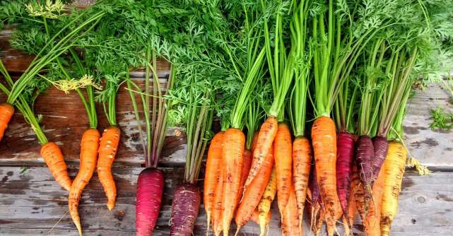 Reteta de salata de morcovi virala pe TikTok. De ce este bine sa o mananci inainte de menstruatie