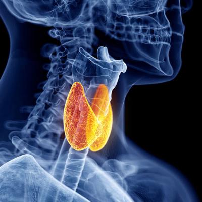 Alimente de evitat in tiroidita autoimuna