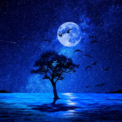 Feng Shui, drumul catre o viata linistita