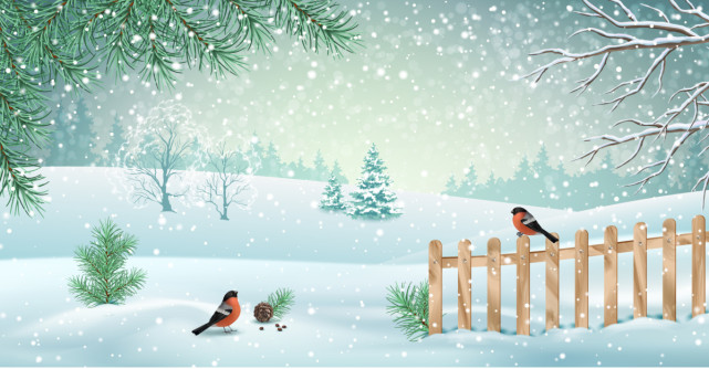 Cele mai frumoase citate despre iarnă: Iarna scoate la iveală tot ce avem mai bun în noi