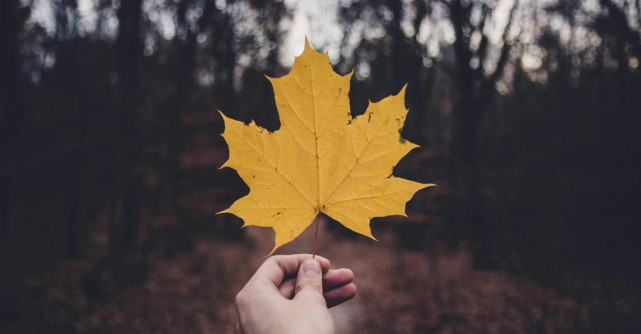 Suplimente pentru piele uscată toamna