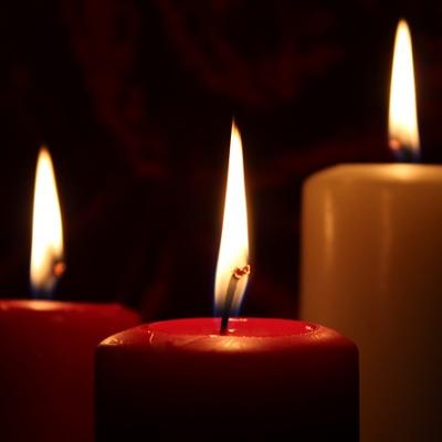  Jill Jacobson, vedeta Star Trek, a murit la vârsta de 70 de ani