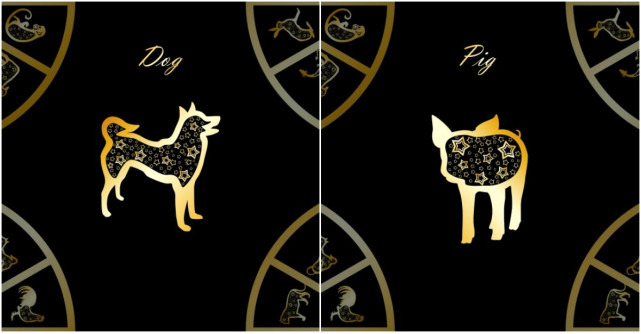 Horoscopul chinezesc pentru 2019: Ce te asteapta daca esti Caine sau Mistret