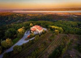 Sărbătoare de 20 de ani de excelență cu un spumant aniversar în ediție limitată.