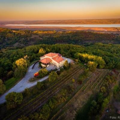 Sărbătoare de 20 de ani de excelență cu un spumant aniversar în ediție limitată.