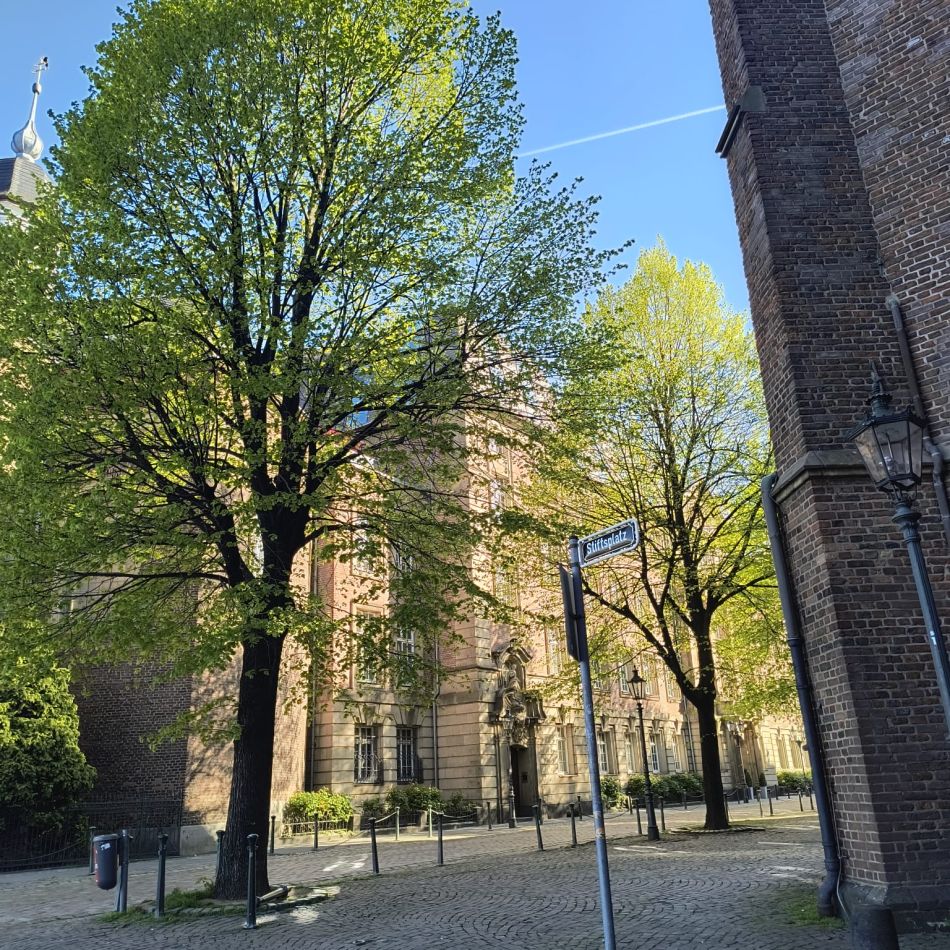 Düsseldorf, orașul care te va surprinde. Experiența unui city-break cu Persil