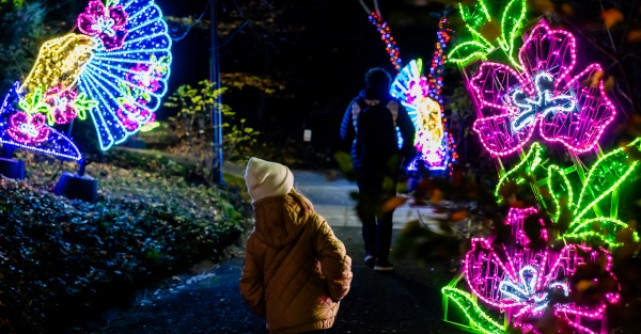  BLACK DAYS - Garden of Lights – Small World