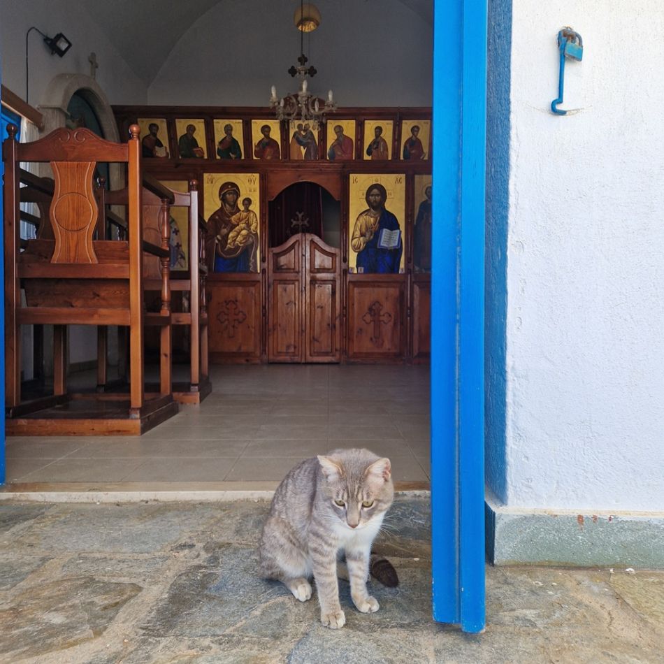 Galerie foto: Jurnal de călătorie - 7 zile în Cipru, una dintre cele mai frumoase și mai sigure destinații de călătorie din lume