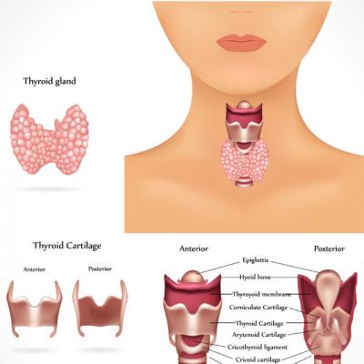 Cum iti dai seama ca ai probleme cu TIROIDA