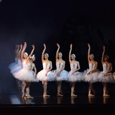 Bărbierul din Sevilla, Callas – Oana Pellea și Lacul Lebedelor, pe scena Operei Naționale București