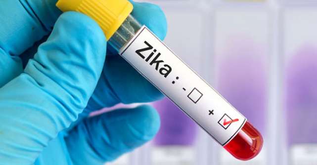 Virusul ZIKA: transmitere, simptome, tratament