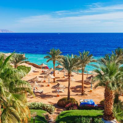 Cum ar fi să pleci gratis în vacanță?