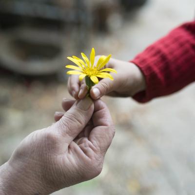 Citate despre bunătate: Nu recunosc alt semn al superiorității decât bunătatea