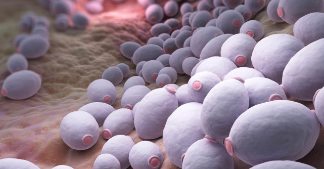 Tratare candida - ce este și cum să o preveniți cat mai eficient !