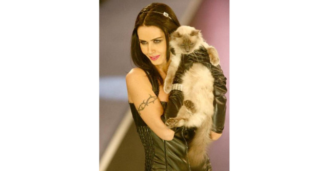 Oana tuna si fulgera, Pepe ia banii