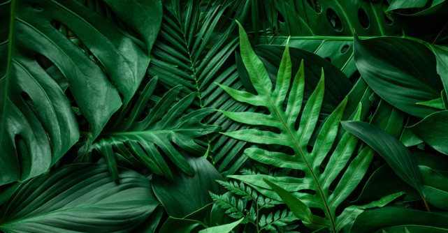 Noi eliminări la Survivor! Jorge și Vica Blochina au părăsit competiția!