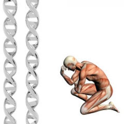 Scapa de durerile musculare cu ajutorul electromiografiei