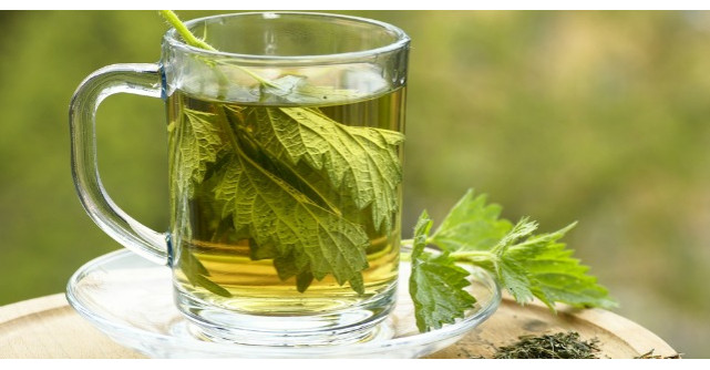 Urzicile. Bolile de care nu stiai ca te pot scapa