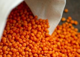 Mâncare de linte roșie - Rețete delicioase și ușor de preparat