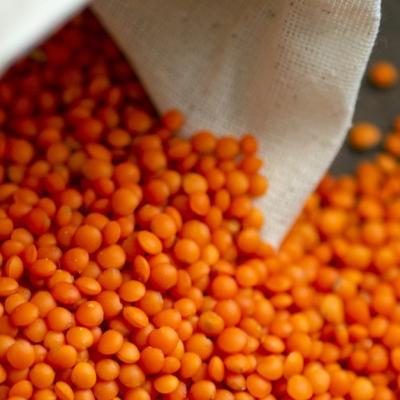 Mâncare de linte roșie - Rețete delicioase și ușor de preparat