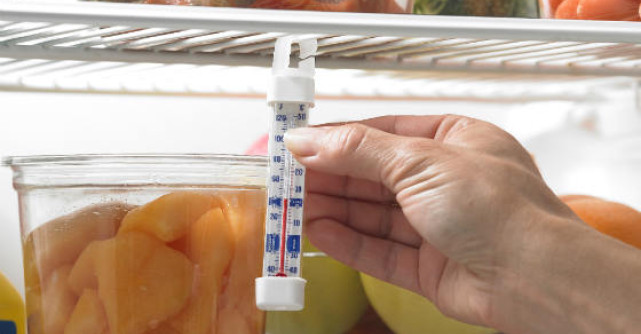 Locul in care se ascund bacteriile si microbii. Cum te poate imbolnavi un frigider si ce poti sa faci