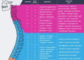 Harta bolilor provenite de la COLOANA