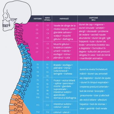 Harta bolilor provenite de la COLOANA