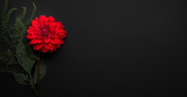 15 ani fără Mădălina Manole. Răni care nu se închid și o întrebare care rămâne: De ce?