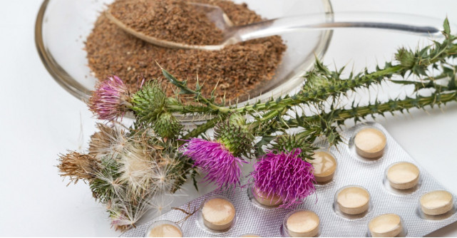 Silimarina: una dintre cele mai utilizate plante medicinale din lume, cu beneficii multiple pentru sanatate