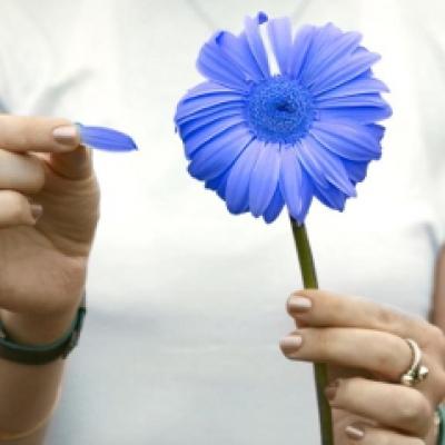 Astrologie: Calculeaza-ti compatibilitatea in 2 zodiace!