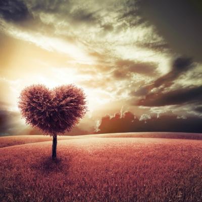 Ce este iubirea: 10 raspunsuri posibile