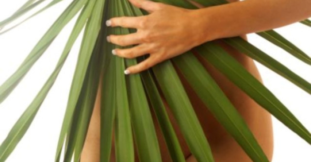 6 curiozitati despre aparatul genital al femeii