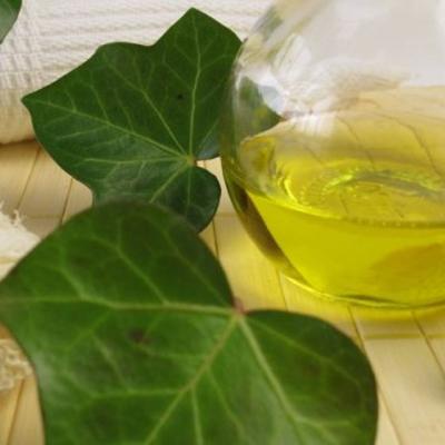 Iedera medicinala si efectele ei vindecatoare