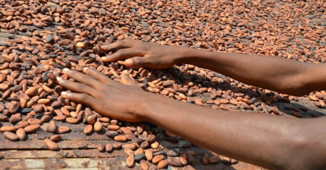 Mondelēz International accelerează progresul în atingerea  obiectivelor de sustenabilitate și stare de bine 