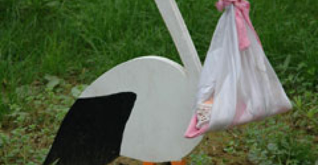 Napraznicul care stimuleaza fertilitatea